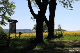 Rezerwat przyrody Ostrzyca Proboszczowicka